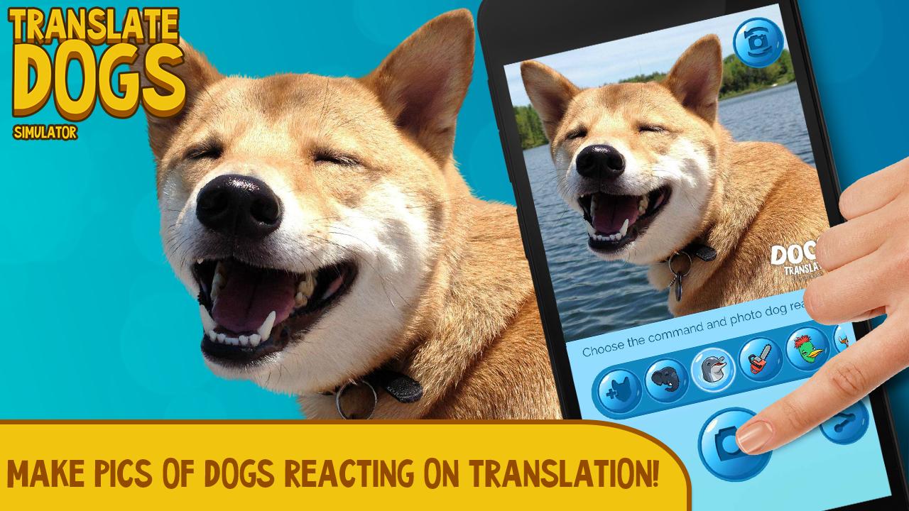 Translate Dogs. Simulator