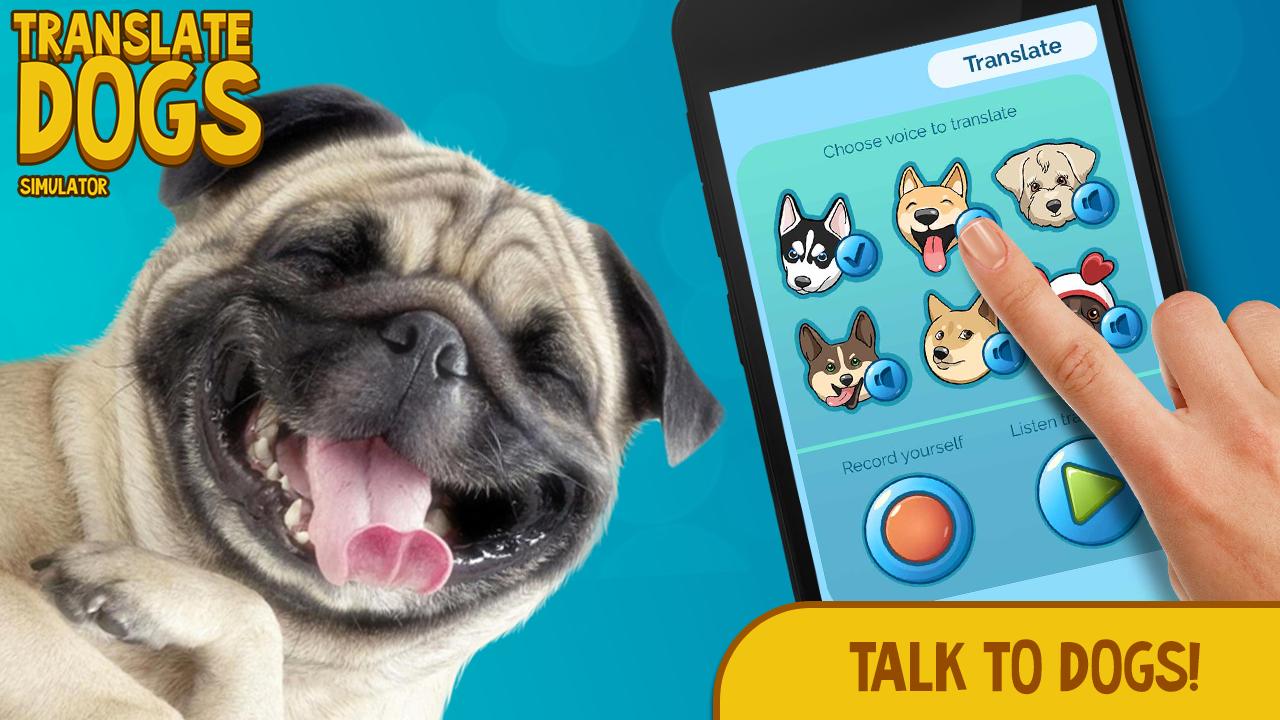 Translate Dogs. Simulator