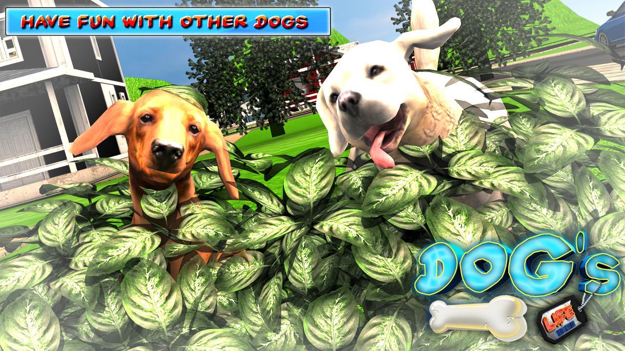 DOGS LIFE : Free Dog Games