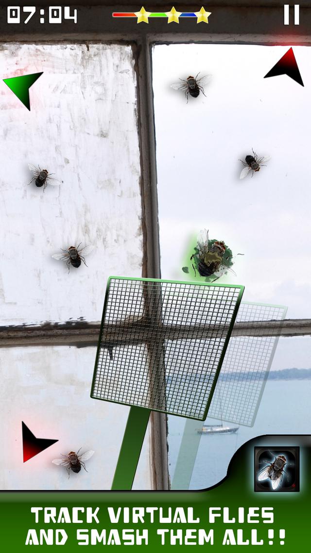 Where's that Fly?